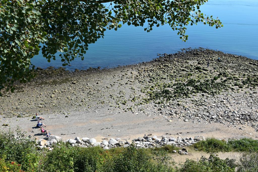 Motel Et Chalets Bo-Fleuve Evangeline
