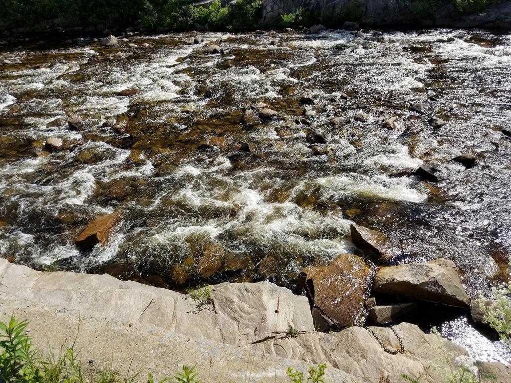 Motel Et Chalets Bo-Fleuve Evangeline 3*